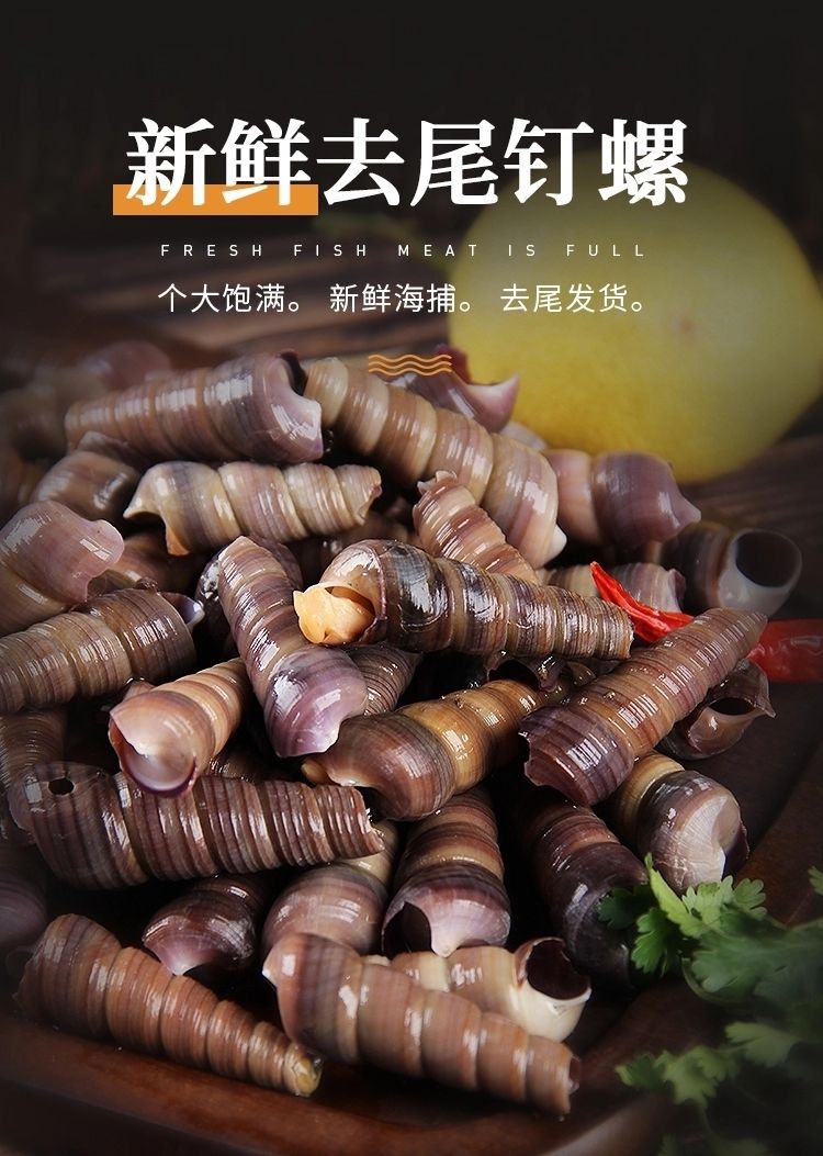 钉螺鲜活去尾免处理新鲜海螺丝钉螺海鲜水产海锥螺丁螺特大号去尾钉螺