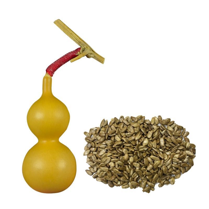 小葫芦种子特小手捻葫芦农家菜园四季种植观赏花卉高产宝葫芦籽昂景手