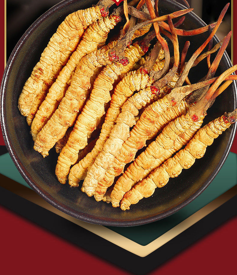 正宗西藏高海拔冬虫夏草非玉树新冻干虫草整条虫草礼盒装送礼筠康美堂