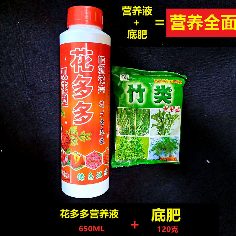 花卉肥料文竹富貴竹等竹子竹子專用120克昂宇竹子專用肥5袋梔子花5袋