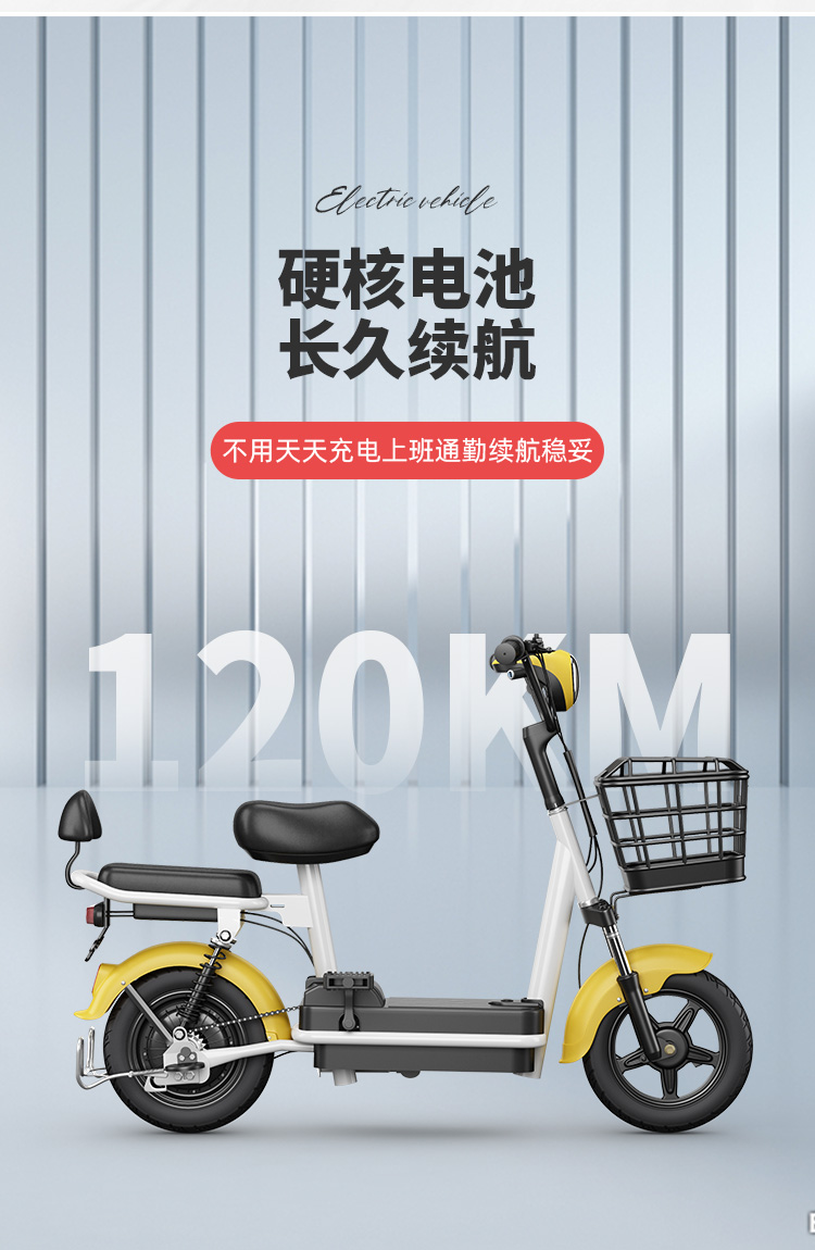 锂电池电动车男女成人电瓶车小型电动自行车电单车长跑王京固蓝色配