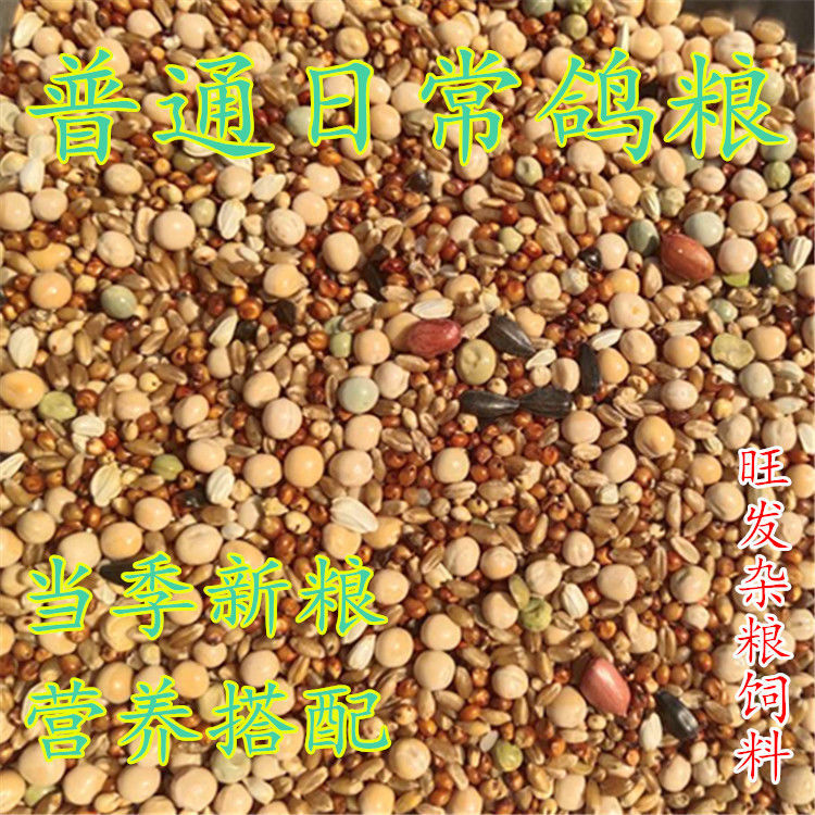 鸽友精品鸽粮50斤鸽子粮送高钙砂aa级精品鸽粮50斤送鸽粮10斤