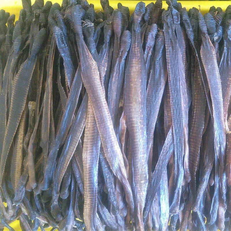 广西地龙蚯蚓干500g克白颈全开地龙干无泥土地龙中药粉