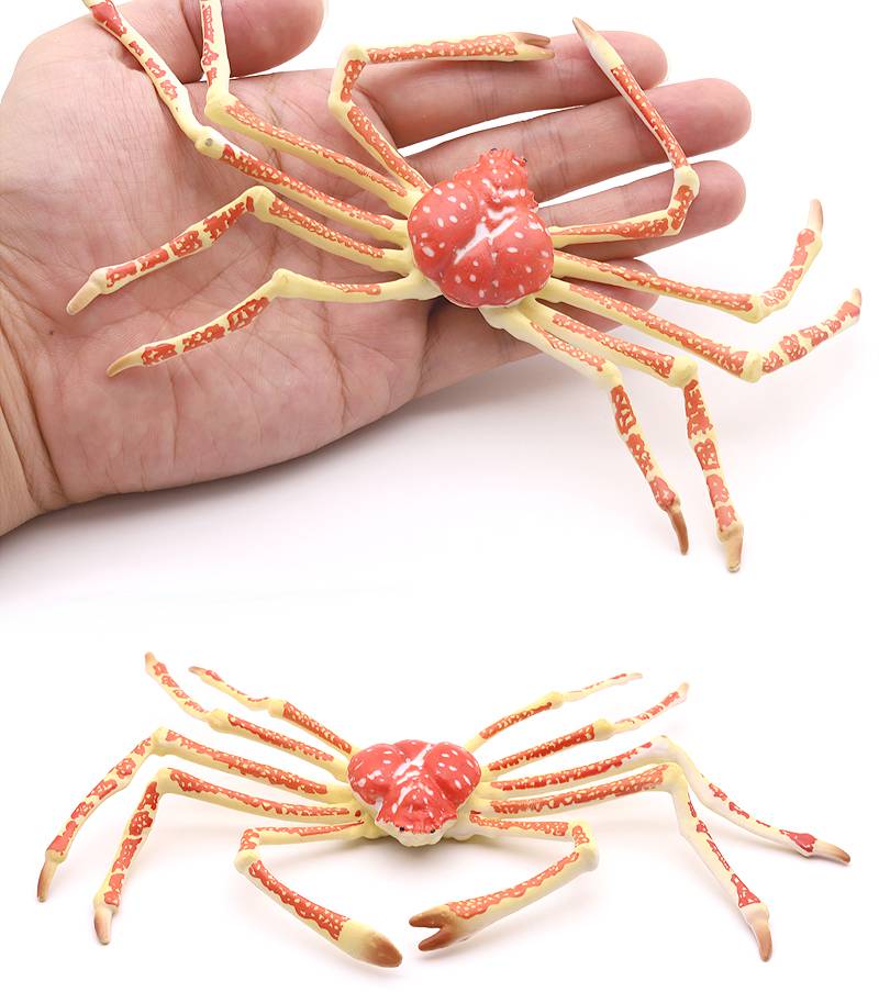 帝王蟹模型 仿真螃蟹模型梭子蟹玩具寄居蟹帝王蟹儿童中华鲎海洋生物