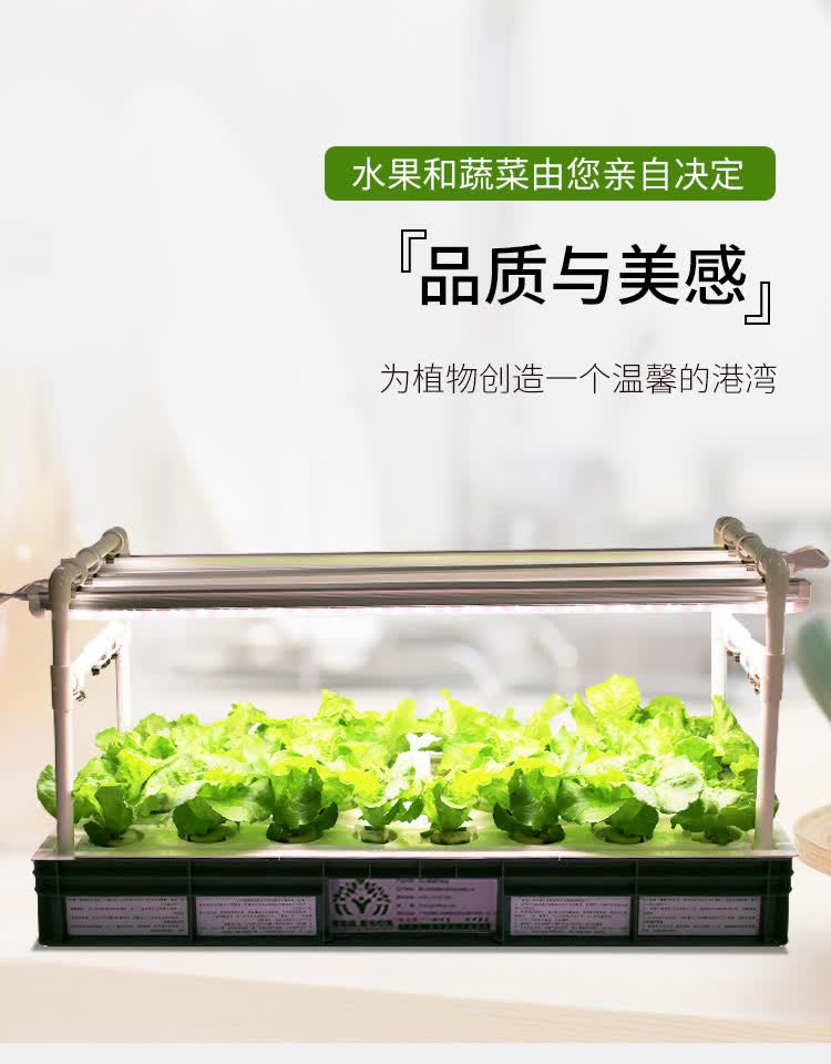 智能种菜机无土栽培家用水培蔬菜花卉草莓育苗种植神器智能种植机