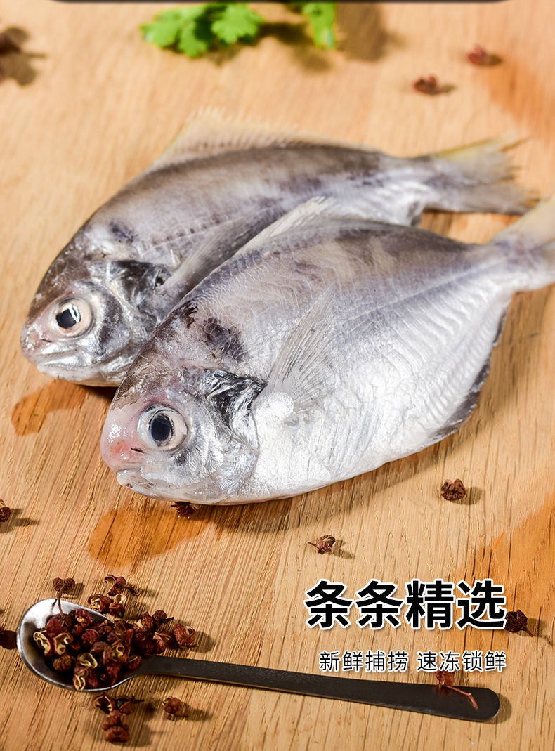 無冰衣鯧魚新鮮冷凍開海現捕肉鯧魚白鯧魚銀鯧魚8斤裝約6條斤開海現捕