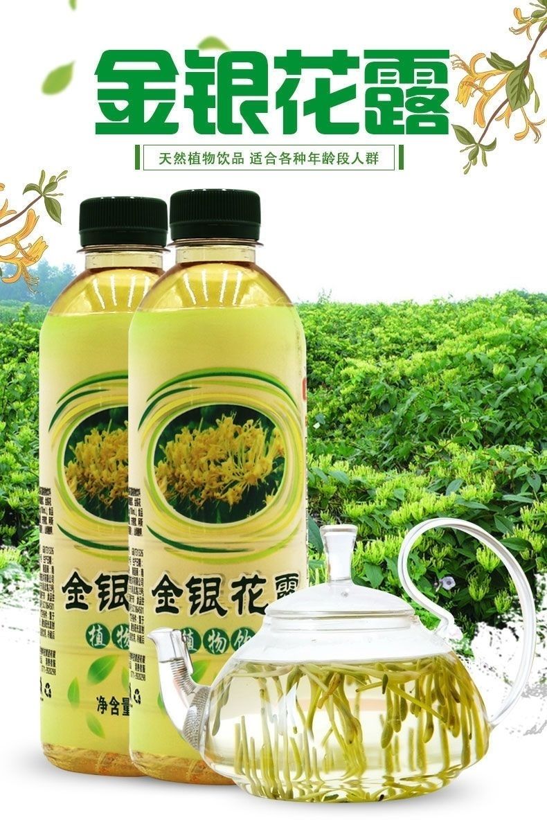 金銀花露植物飲料500mlx5瓶 挑戰者金銀花500ml【5瓶】【圖片 價格