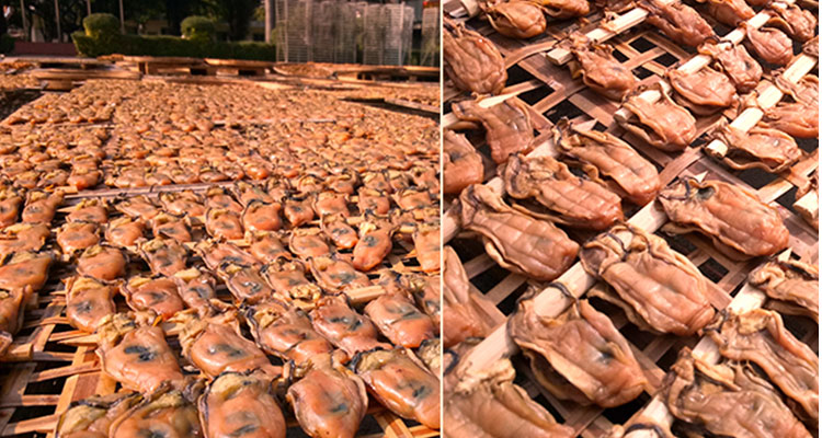 深圳特产沙井蚝豉生蚝干牡蛎干海蛎子海产品海鲜干货