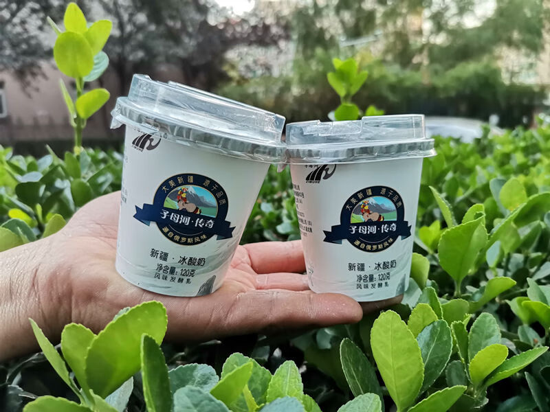 新疆子母河传奇冰酸奶冰淇淋老酸奶120克装12杯整箱