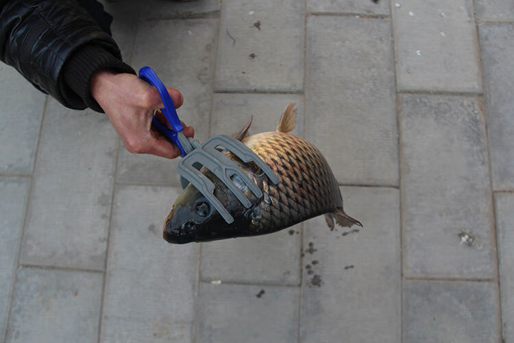 【精品直发】抓鱼器控鱼钳鱼夹子控鱼器夹鱼钳合金材料夹鱼器钓鱼用品