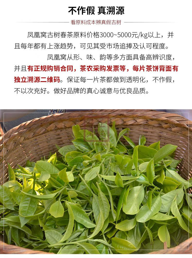 正廷普洱 易武凤凰窝古树普洱茶生茶饼 2019春茶云南七子饼357g生普