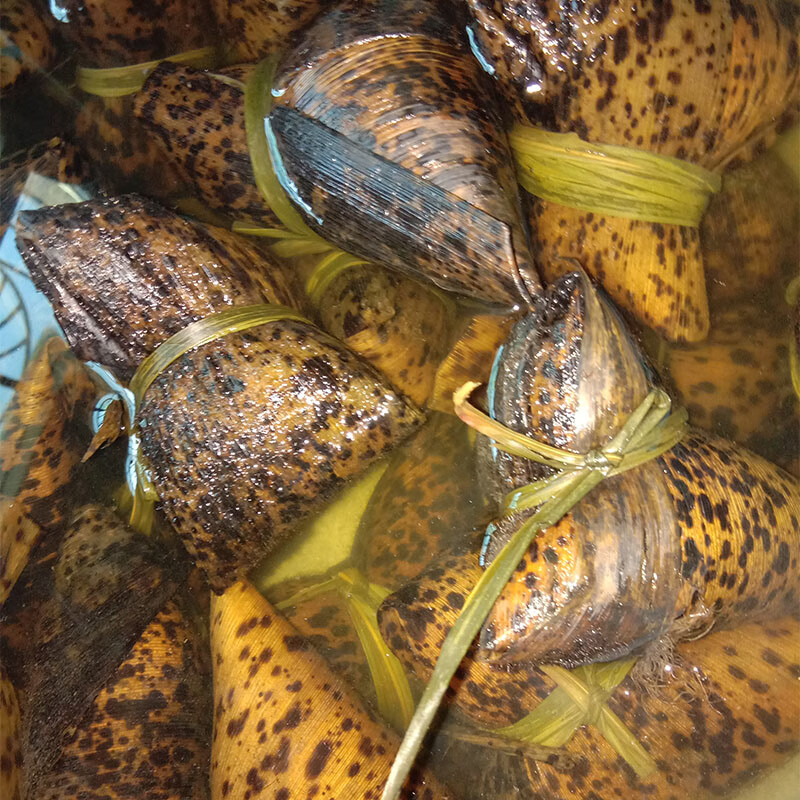 5斤四川宜宾筠连农家自制传统粽子甜粽碱粽笋壳叶粽端午送礼原味