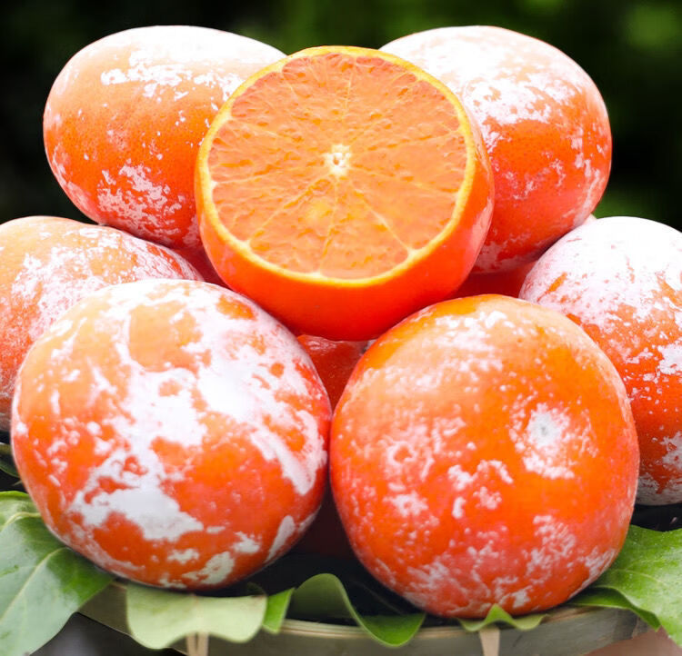 柑9斤新鲜应当季水果脏脏柑甜桔子橘子10整箱 9斤中大果果径65-70mm