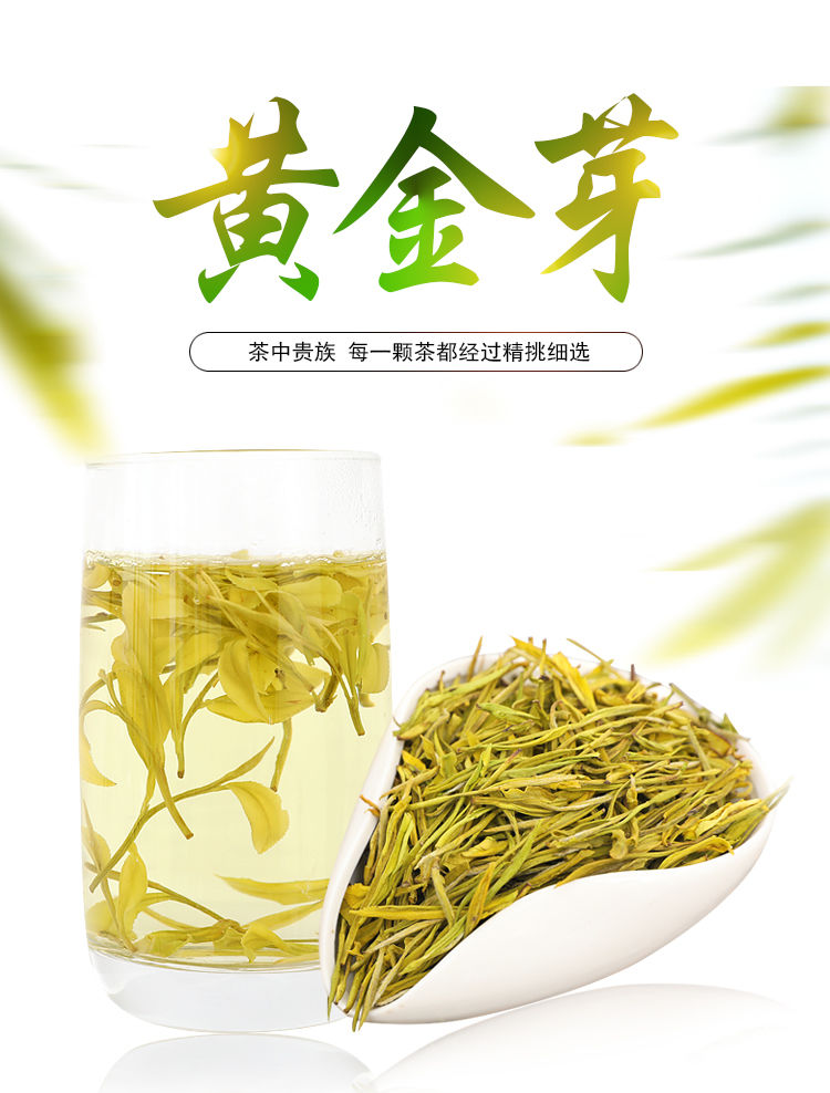 特级珍稀黄金芽2021年茶叶明前新茶春茶高山绿茶袋装盒