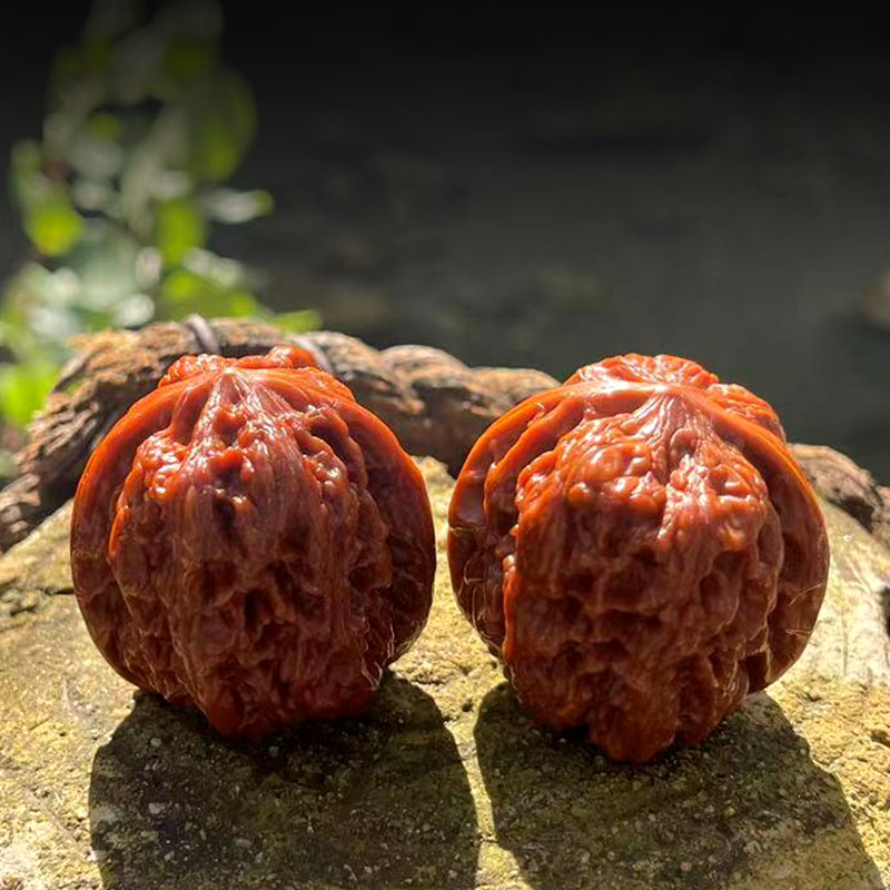 沐玛 文玩核桃 小众品种 蛤蟆头大粗筋将军膀三棱平谷元宝野生古玩麻