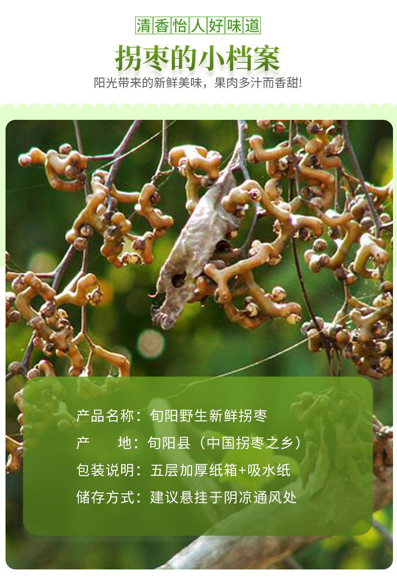 旬阳拐枣新鲜泡酒生吃半干野生万寿果鸡爪梨枳椇子金钩子剪枝天然3斤