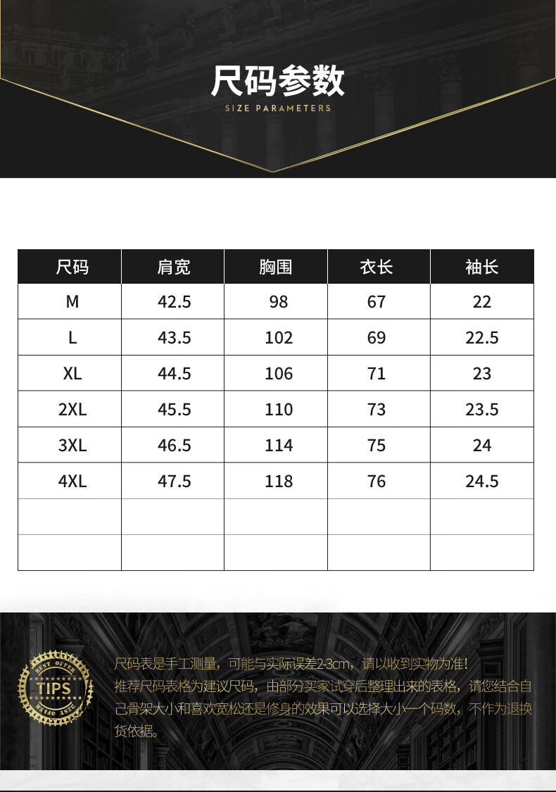 特奇玛轻奢潮牌bape欧货立领短袖t恤男潮牌ins潮流时尚刺绣2022夏季