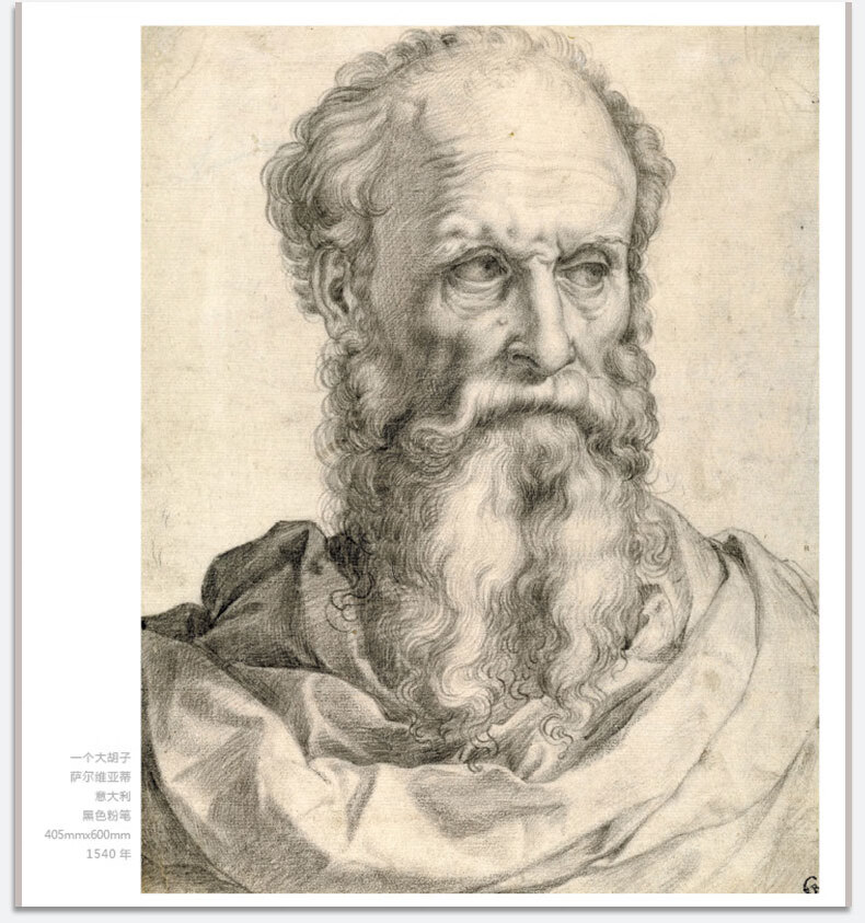 《素描肖像》头像画册书籍临摹向千年大师学绘人体速写门采尔安格丢勒