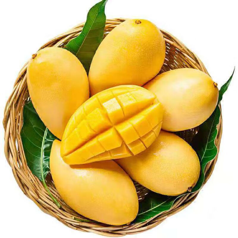 当季新鲜水果缅甸圣德龙芒果新鲜芒果超甜3斤5斤10斤整箱批发 青皮