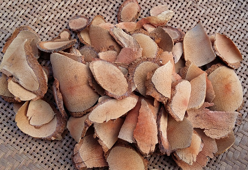 【亏本卖3天】深山野生雄猕猴桃根 藤梨根 阳桃根 雄洋桃根 杨桃根