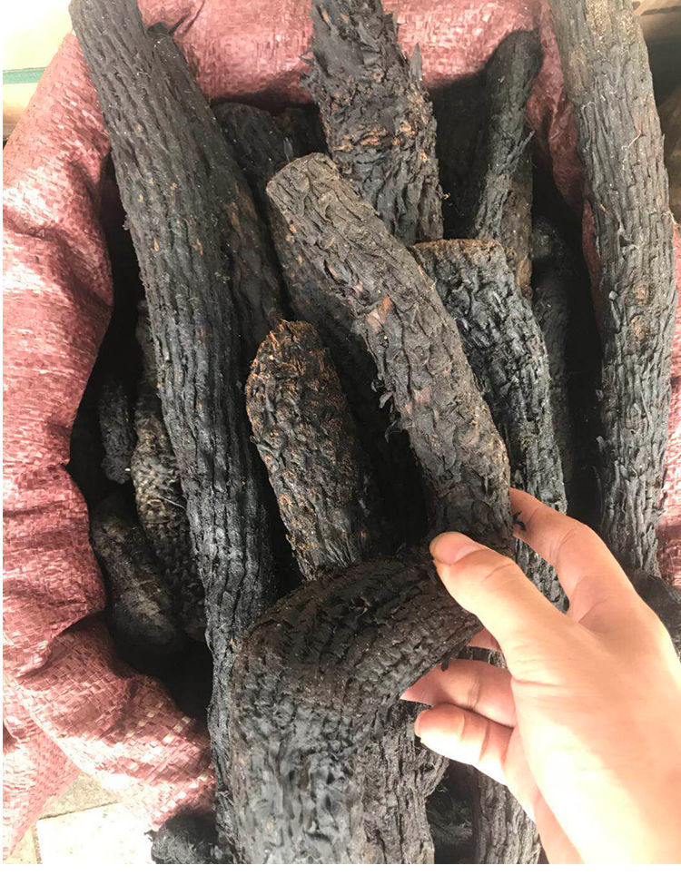 野生阿拉善肉苁蓉肉松蓉单根1000g油苁蓉软大芸男性滋补泡酒料 600克