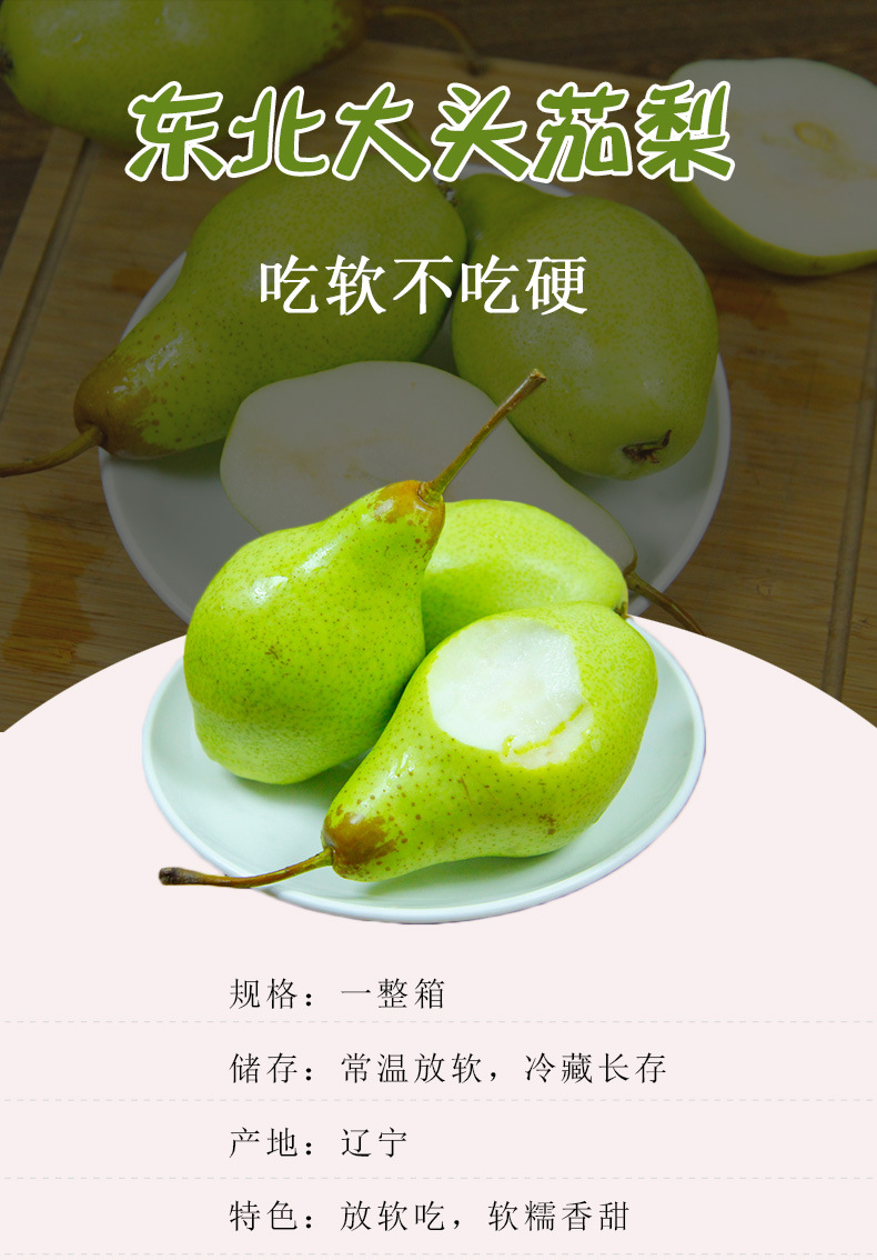 东北茄梨2斤3斤5斤装软糯大头梨不是烟台太婆梨子新鲜水果手工精选带