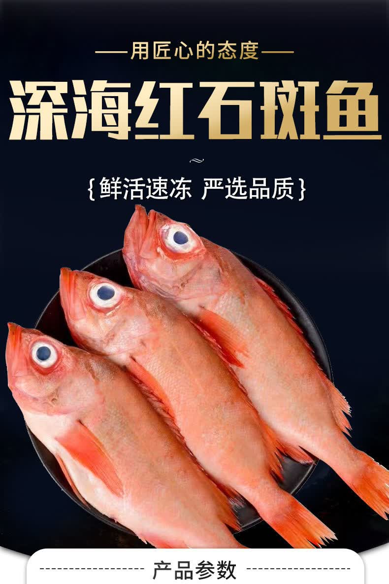 红石斑鱼冷冻整条深海红鱼大龙胆鱼富贵鱼深海鱼鲜活海鲜水产斑鱼丽鲜