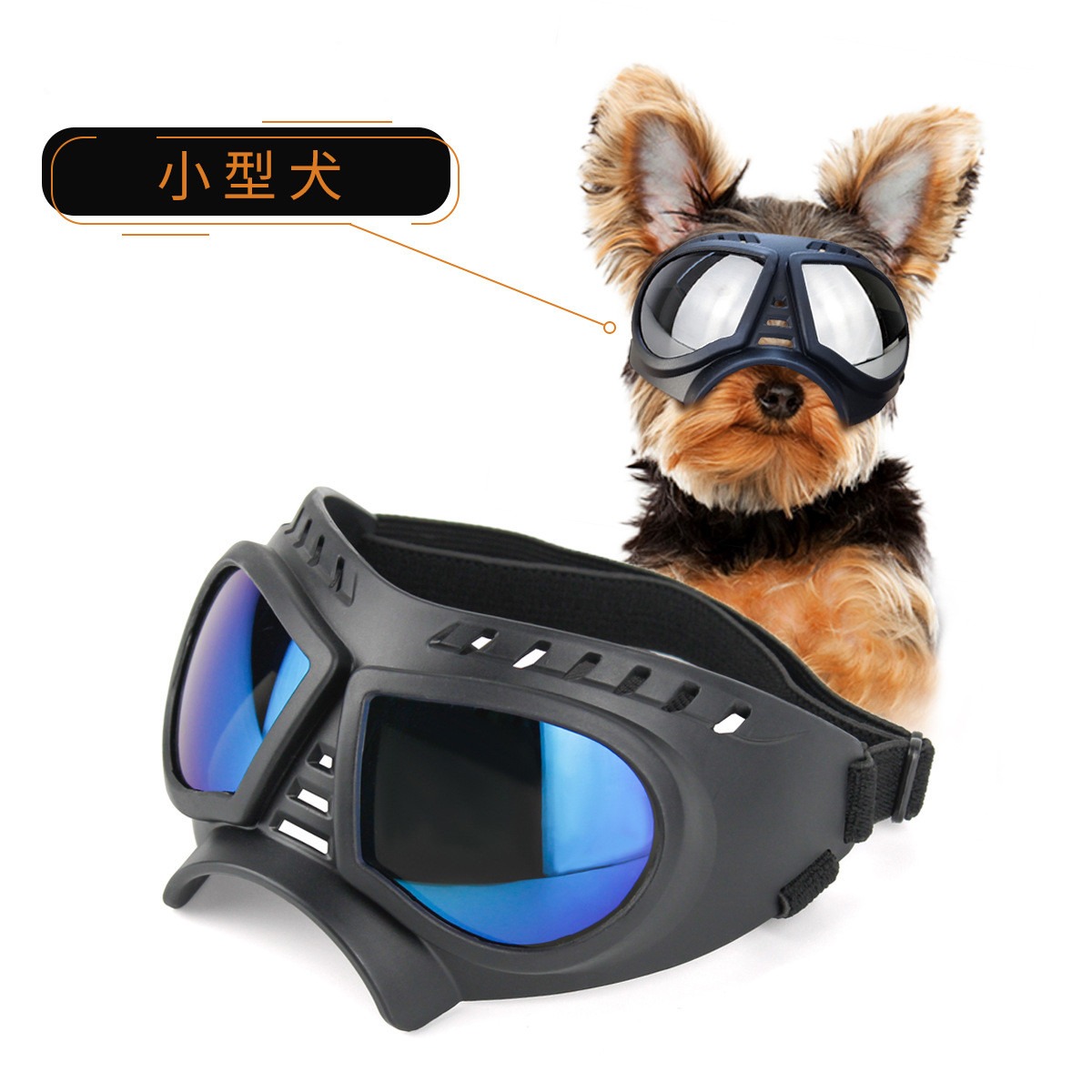 宠物摩托车头盔狗狗猫咪头戴泰迪英短太阳镜眼镜新款机车安全帽帽子