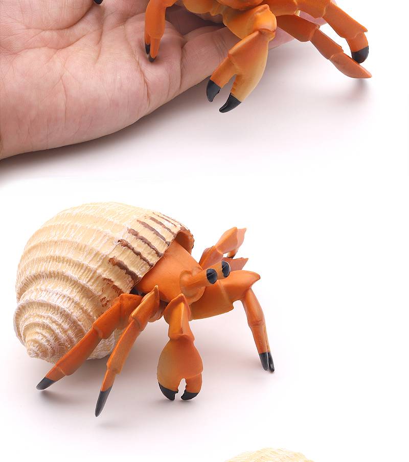 帝王蟹模型 仿真螃蟹模型梭子蟹玩具寄居蟹帝王蟹儿童中华鲎海洋生物