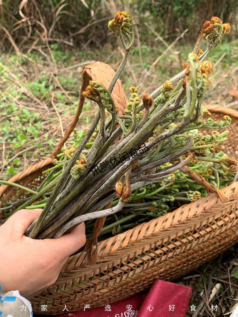 5折野生幹蕨菜乾貨乾菜農家自制新鮮山蕨菜乾龍爪菜野菜黃山特產500g