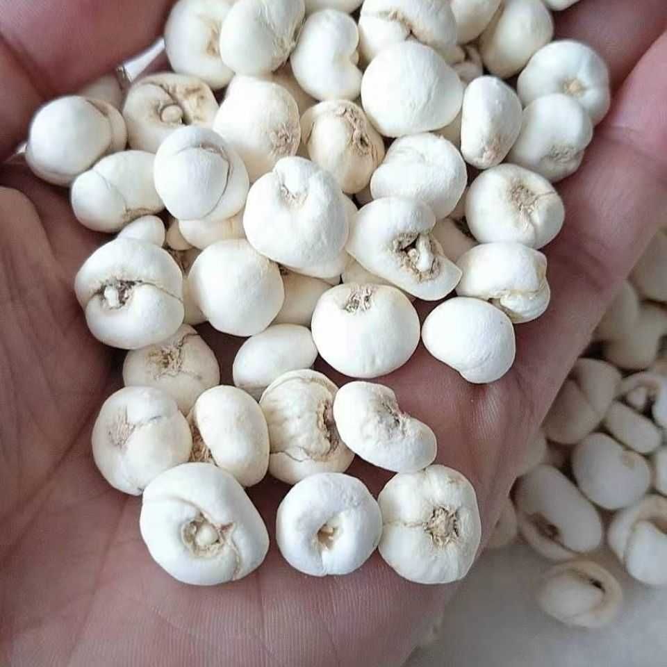 杞里香qilixiang西藏特产贝母西藏藏平贝母贝中药微