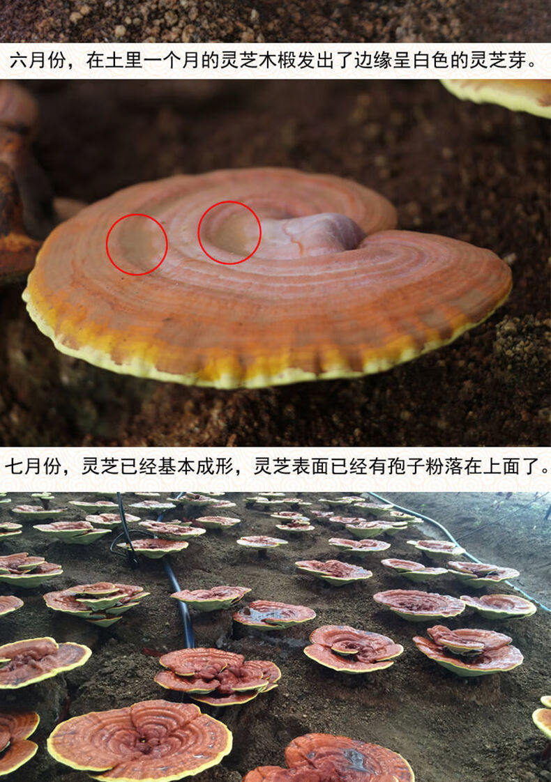 c0e1b0f41179204e.jpg