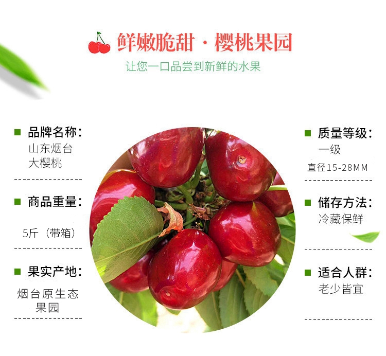 现摘山东5斤大果当季新鲜水果车厘子先锋美早整箱送礼j26mm含28mm不含
