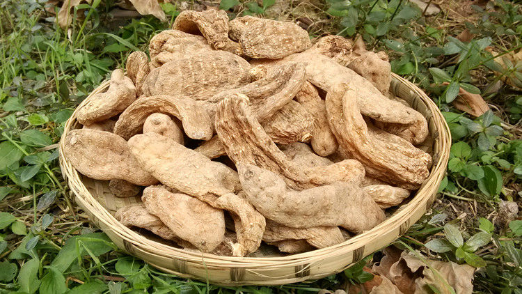 神农架野生天麻无硫天麻天然深山天麻非云南昭通天麻 野生中号天麻