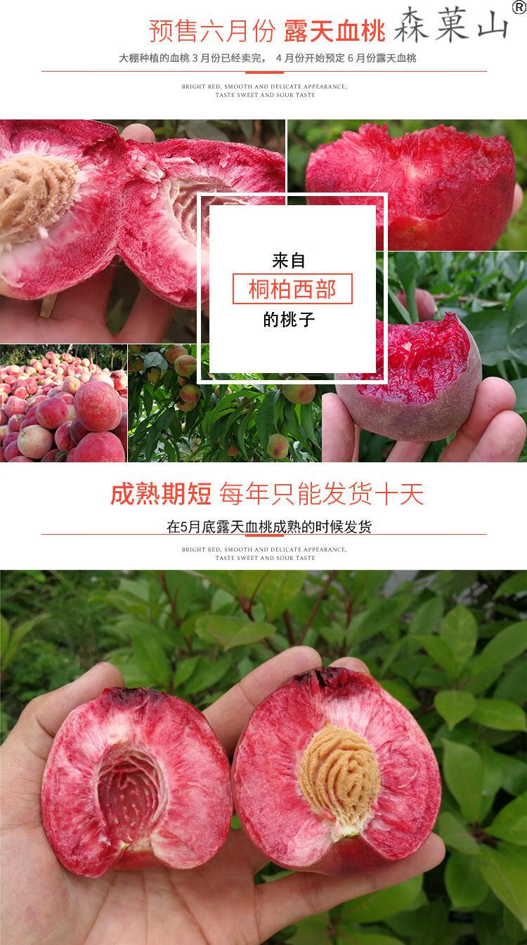 中华血桃水果 河南老树猪狗血桃新鲜现摘现发雪桃子罕见朱砂红心桃子