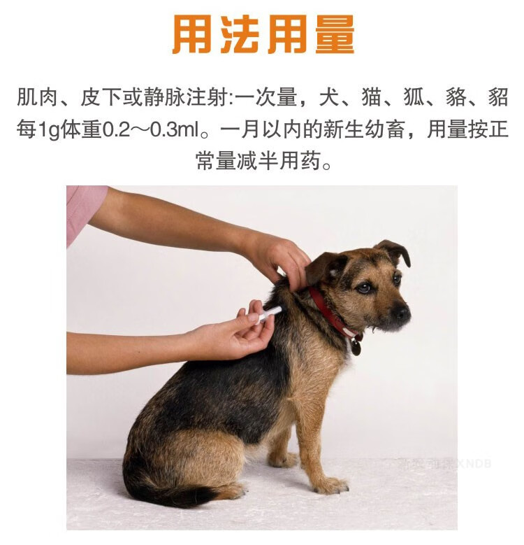 宠物药止吐灵注射液狗狗猫咪呕吐犬猫细小冠状腹泻肠炎拉稀止吐针1盒