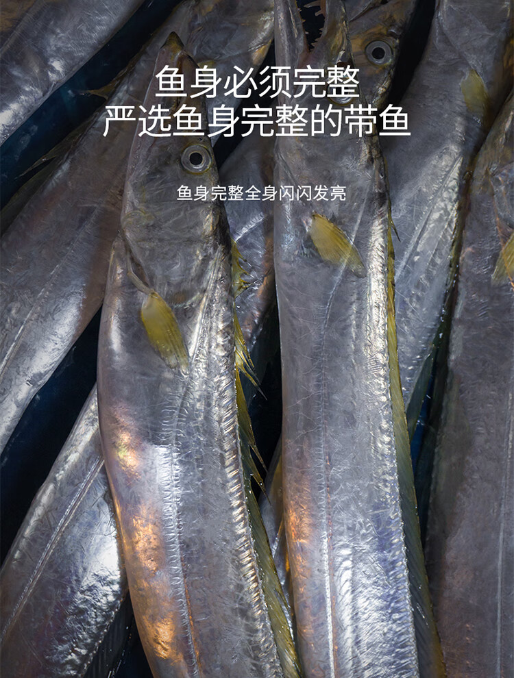 黃金帶魚海捕黃嘴小帶魚新鮮刀魚東山島野生海鮮黃金帶魚四盒1200g超