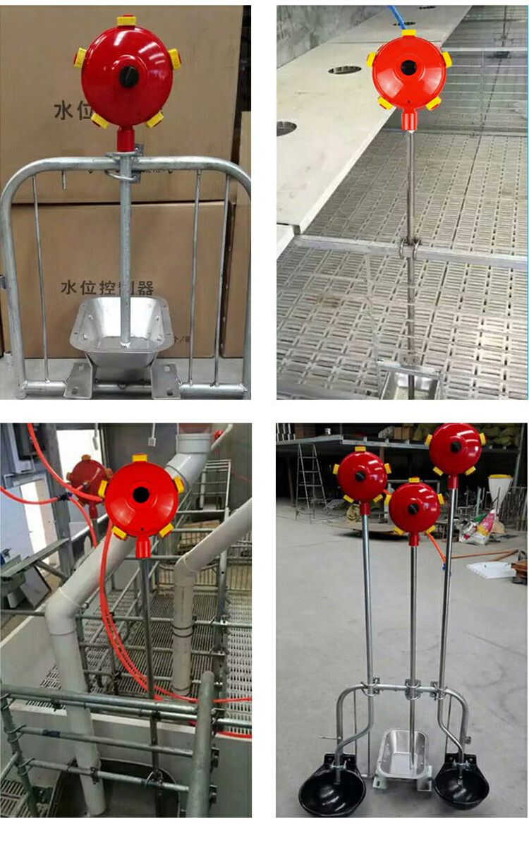 母猪用自动水位控制器猪场用饮水碗牛羊养殖饮水器水碗盆全套设备半圆