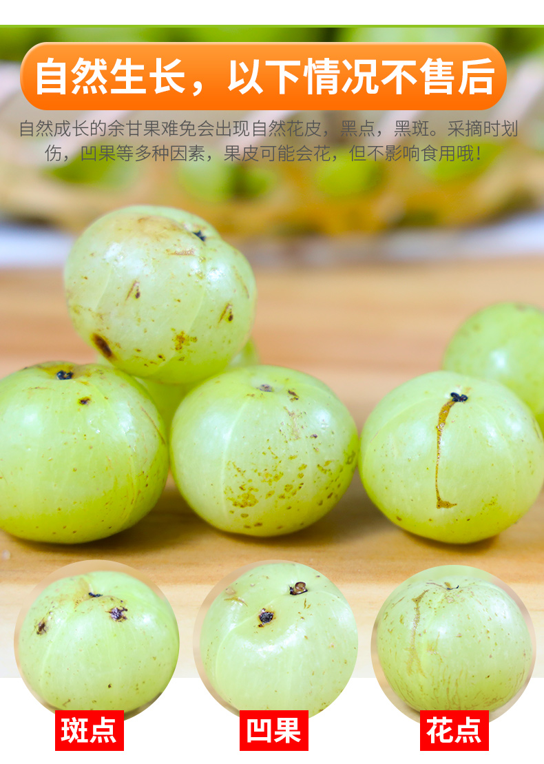 油柑 新鲜油甘果现摘 农家自种孕妇水果 玉油柑牛甘子余柑果油干滇