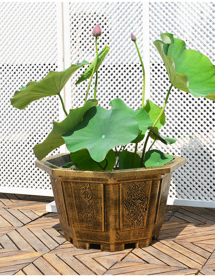 特大圆形加厚水培无孔荷花盆睡莲碗莲花专用塑料花盆大号八角盆40无