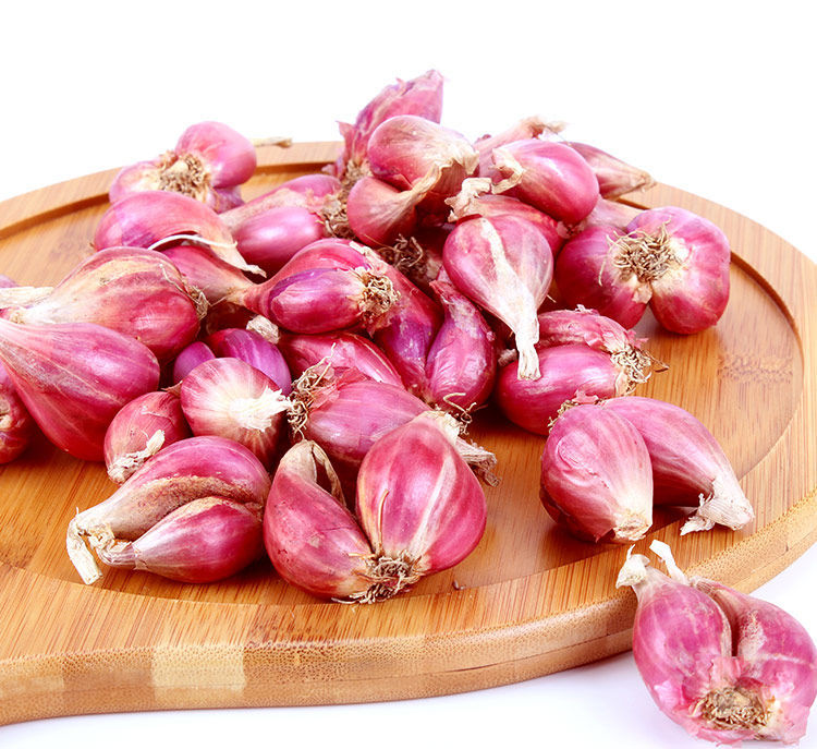 广东红葱头干新鲜小香葱种子红皮火葱油葱榨葱油熬油葱酥 2斤【图片