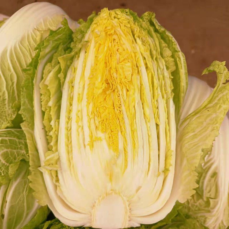 新鲜白菜3斤云南高原现现发大白菜露天农家自种蔬菜批发9斤3斤
