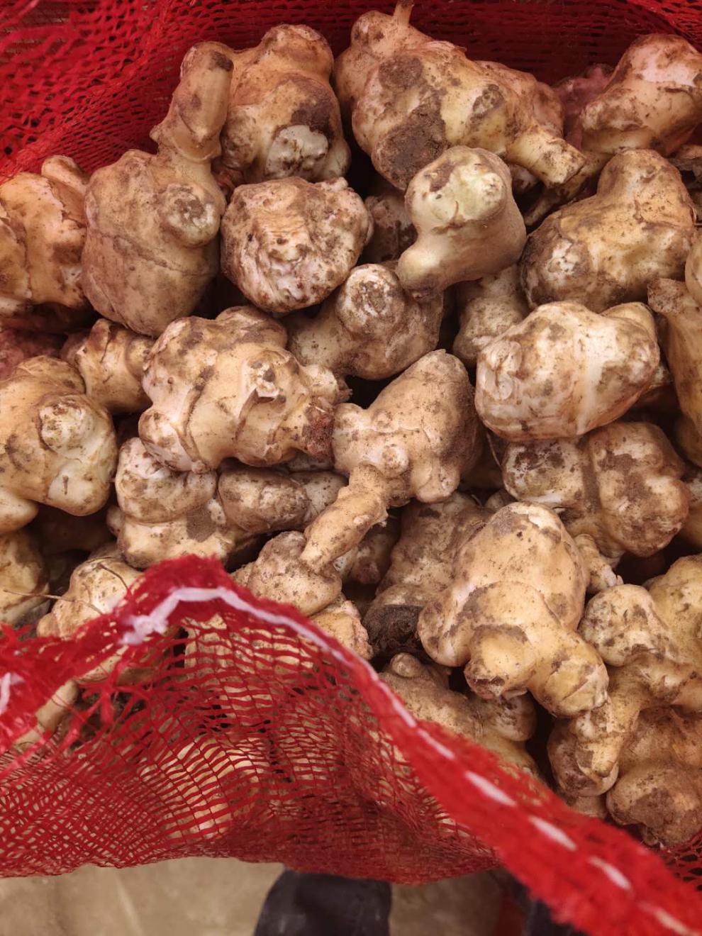 现挖野生新鲜洋姜鬼子不辣纯腌制泡菜野5斤装 500g【图片 价格 品牌