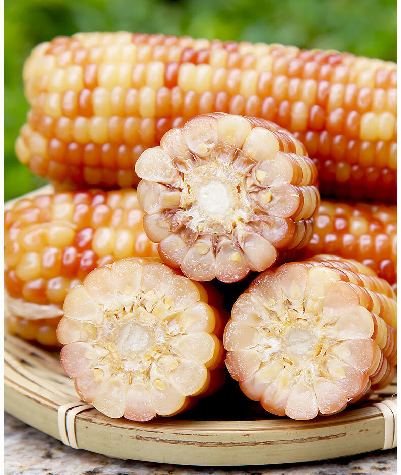 傣小瓜云南西双版纳香糯小玉米新鲜甜糯开袋即食苞谷香糯玉米五斤装