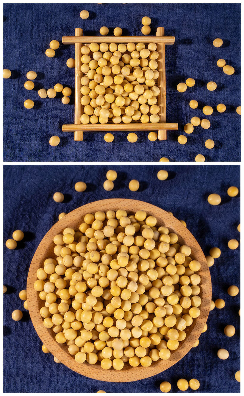 农家自种新黄豆大豆打豆浆专用黄豆圆形黄豆黄豆2斤