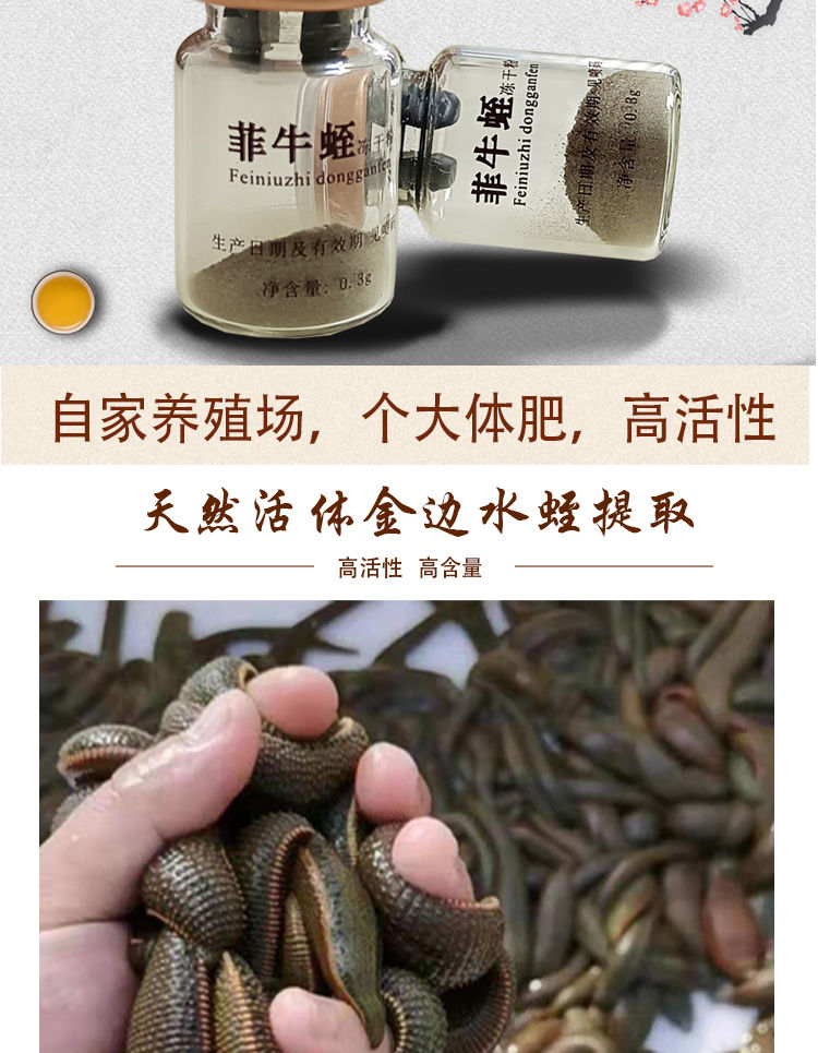 菲牛蛭冻干粉天然水蛭素高含量蚂蟥素金边水蛭素多肽30瓶