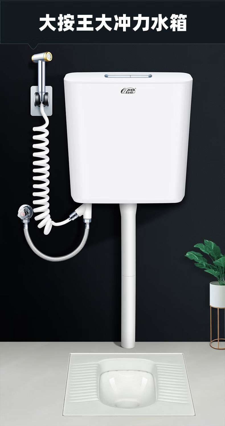 蹲便器水箱套装水箱储水厕所马桶冲水箱卫生间家用厕所冲水箱 大按王