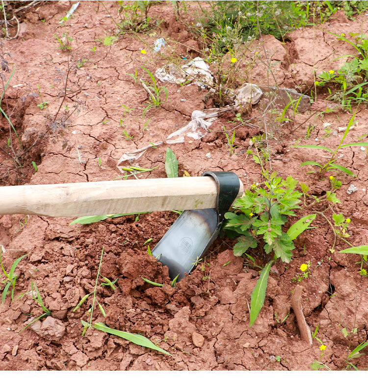锄头挖笋开荒除草全钢加厚家用种菜种花户外挖土松土神器农用工具口宽