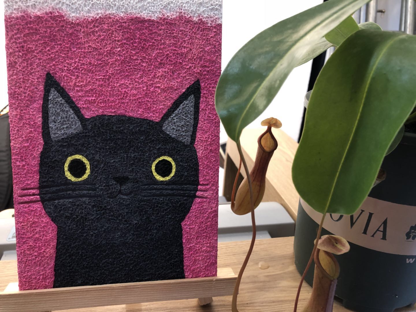 卡通纸浆画材料包打发时间手工diy9只猫咪立体创意礼物