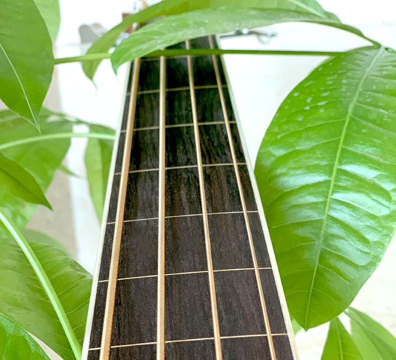 gipsyacousticbass免费刻字全单板木贝司箱贝斯民谣电箱36旅行便携电